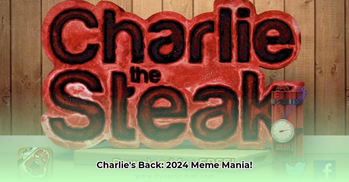 charlie-the-steak-android-apk